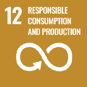 SDG 12: Responsible Consumption and Production